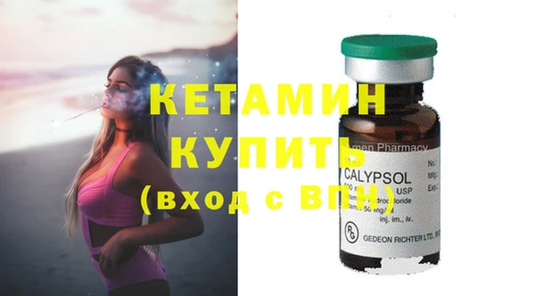 шишки Абаза