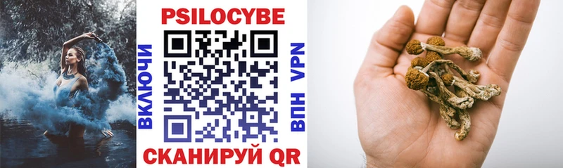 KRAKEN ссылка  цена   Туран  Галлюциногенные грибы прущие грибы 